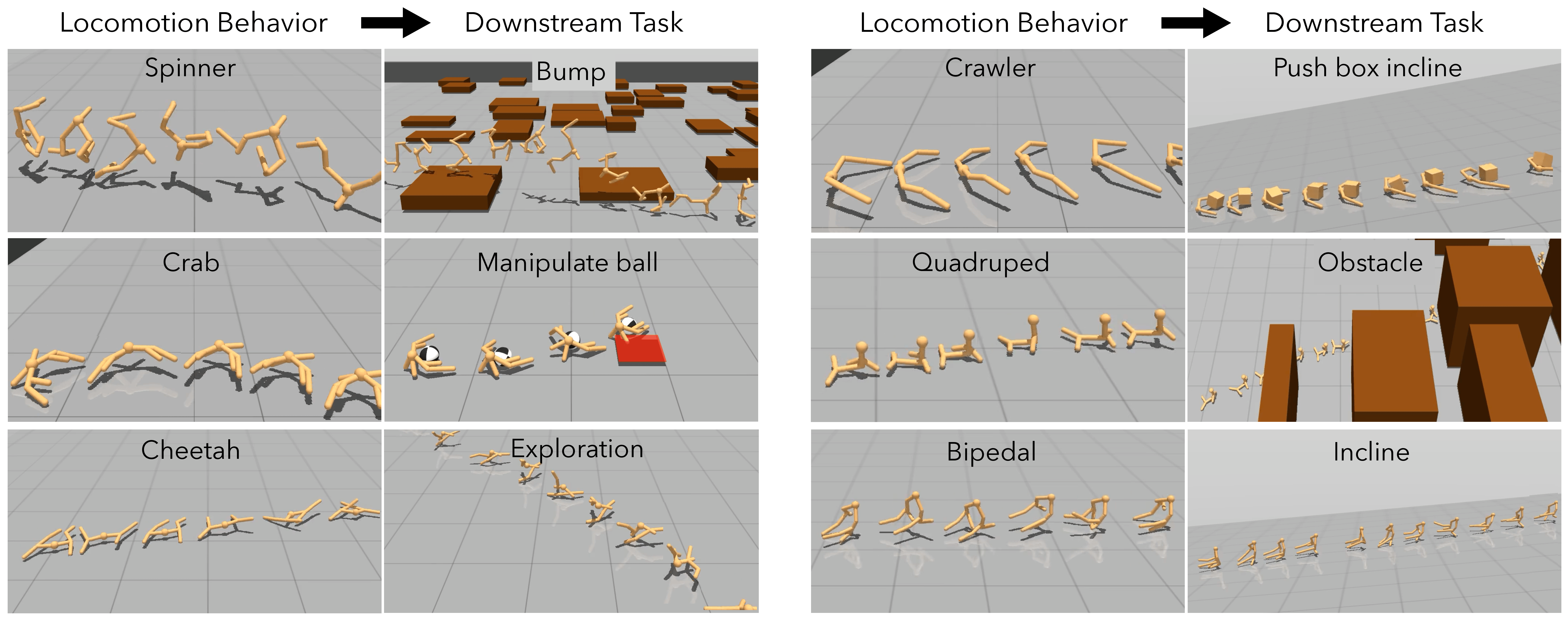 Hover Thumbnail for Convergent Functions, Divergent Forms